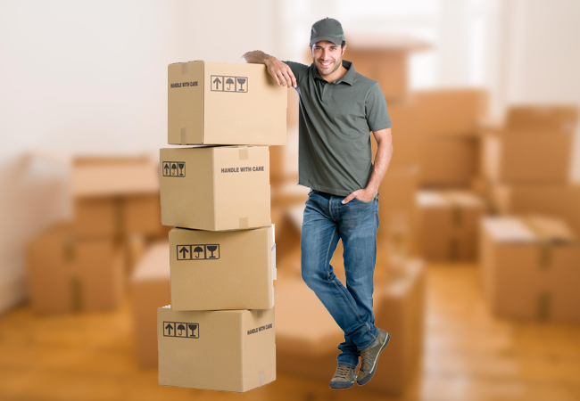  Cargo Packers and Movers